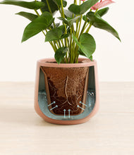 Load image into Gallery viewer, Calm Rose stand:all