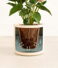 Load image into Gallery viewer, Cream stand:all