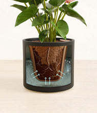 Load image into Gallery viewer, Black stand:all