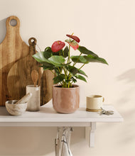 Load image into Gallery viewer, Hammered Peach Pink