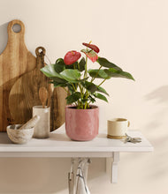 Load image into Gallery viewer, Hammered Rose Pink