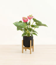 Load image into Gallery viewer, Stone Black stand:bamboo