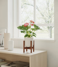 Load image into Gallery viewer, Natural Bamboo stand:walnut