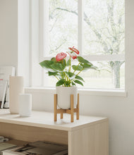Load image into Gallery viewer, Natural Bamboo stand:bamboo