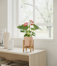 Load image into Gallery viewer, Sandy Pink stand:bamboo