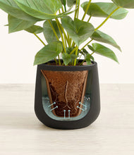 Load image into Gallery viewer, Black stand:all