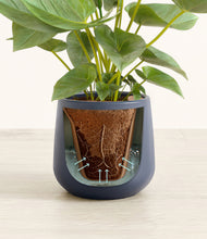 Load image into Gallery viewer, Deep Navy stand:all