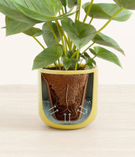 Load image into Gallery viewer, Key Lime Yellow stand:all