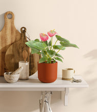 Load image into Gallery viewer, Earth Red