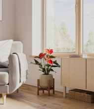 Load image into Gallery viewer, Olive stand:walnut