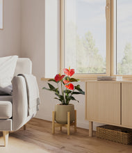 Load image into Gallery viewer, Olive stand:bamboo