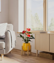 Load image into Gallery viewer, Mustard stand:bamboo
