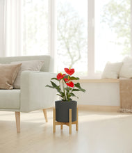 Load image into Gallery viewer, Dark Olive stand:bamboo