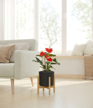 Load image into Gallery viewer, Black stand:bamboo