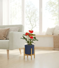 Load image into Gallery viewer, Deep Navy stand:bamboo