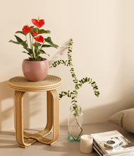 Load image into Gallery viewer, Calm Rose