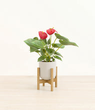 Load image into Gallery viewer, Natural Bamboo stand:bamboo