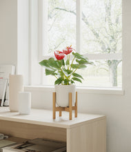 Load image into Gallery viewer, Natural Bamboo stand:bamboo