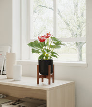 Load image into Gallery viewer, Stone Black stand:walnut