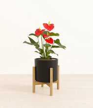 Load image into Gallery viewer, Black stand:bamboo