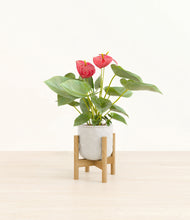 Load image into Gallery viewer, Hammered Ivory stand:bamboo