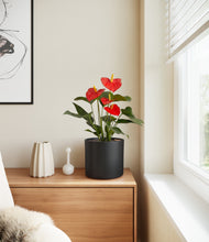 Load image into Gallery viewer, Black