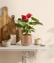 Load image into Gallery viewer, Hammered Peach Pink