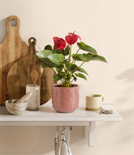 Load image into Gallery viewer, Hammered Rose Pink