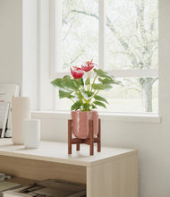 Load image into Gallery viewer, Hammered Rose Pink stand:walnut