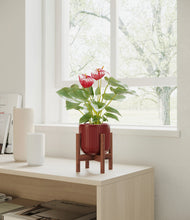 Load image into Gallery viewer, Striped Cherry Red stand:walnut