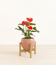 Load image into Gallery viewer, Calm Rose stand:bamboo