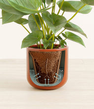 Load image into Gallery viewer, Glossy Red stand:all