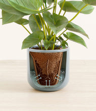 Load image into Gallery viewer, Misty Blue stand:all