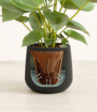 Load image into Gallery viewer, Black stand:all