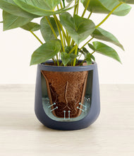 Load image into Gallery viewer, Deep Navy stand:all