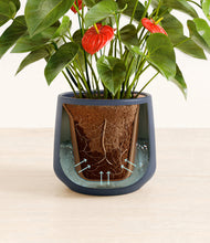 Load image into Gallery viewer, Deep Navy stand:all