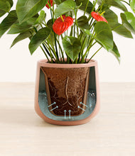 Load image into Gallery viewer, Calm Rose stand:all