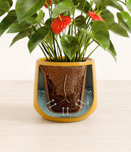 Load image into Gallery viewer, Mustard stand:all