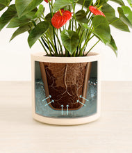 Load image into Gallery viewer, Cream stand:all