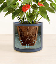 Load image into Gallery viewer, Deep Navy stand:all