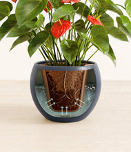 Load image into Gallery viewer, Deep Navy stand:all