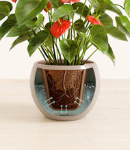 Load image into Gallery viewer, Desert Brown stand:all