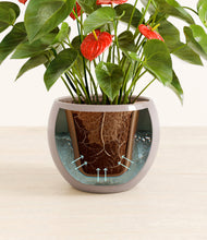 Load image into Gallery viewer, Winter Clouds stand:all