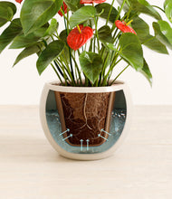 Load image into Gallery viewer, Shiny EggWhite stand:all