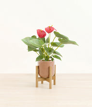 Load image into Gallery viewer, Hammered Peach Pink stand:bamboo