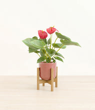 Load image into Gallery viewer, Hammered Rose Pink stand:bamboo