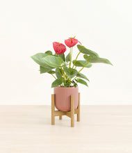 Load image into Gallery viewer, Striped Rose Pink stand:bamboo