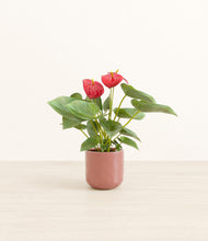 Load image into Gallery viewer, Hammered Rose Pink*****Profile