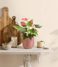 Load image into Gallery viewer, Hammered Rose Pink