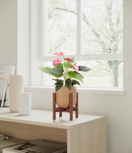 Load image into Gallery viewer, Striped Peach Pink stand:walnut